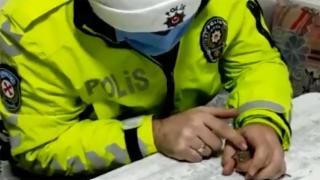 Donmak üzere olan serçeyi polisler hayata döndürdü