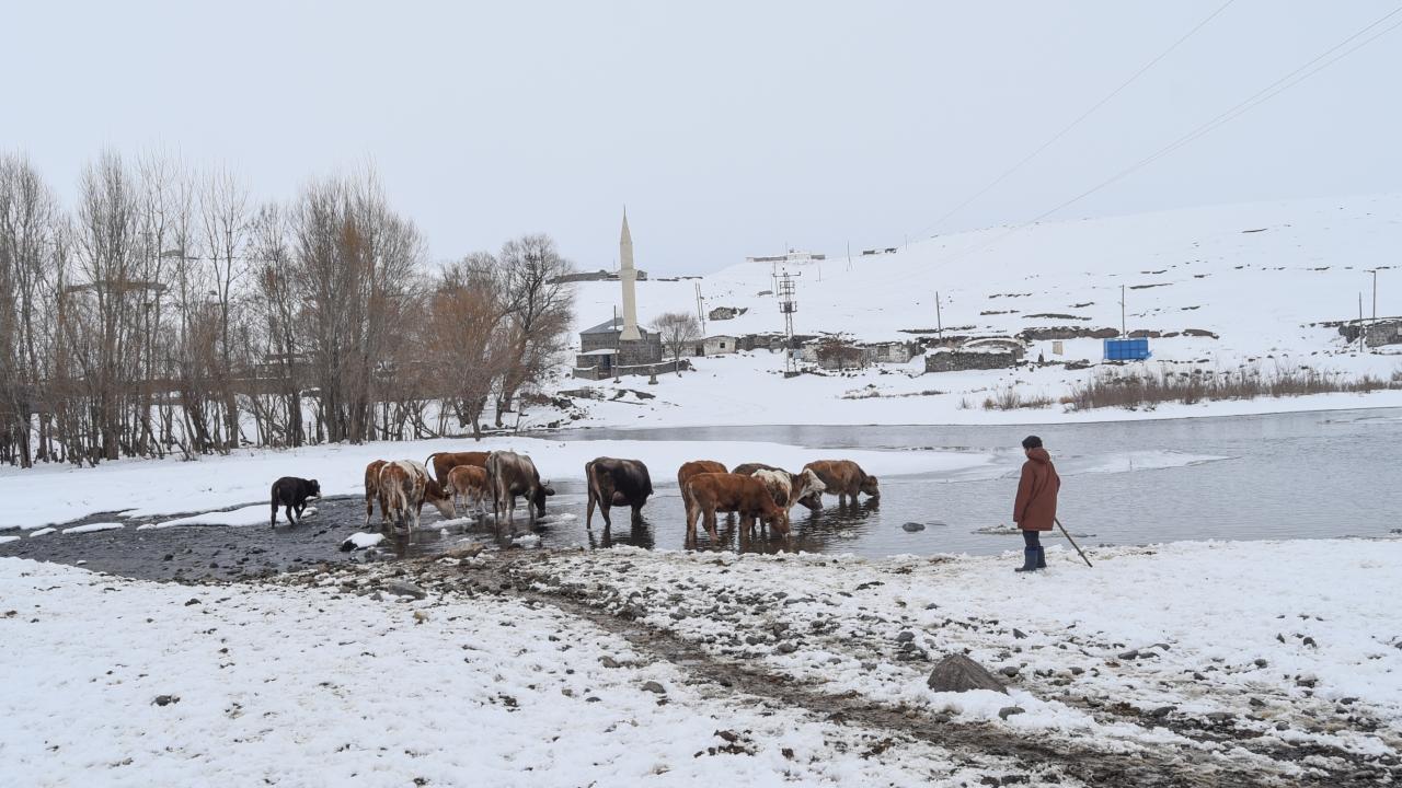 "Yarım metreyi bulan kar kalınlığı var"