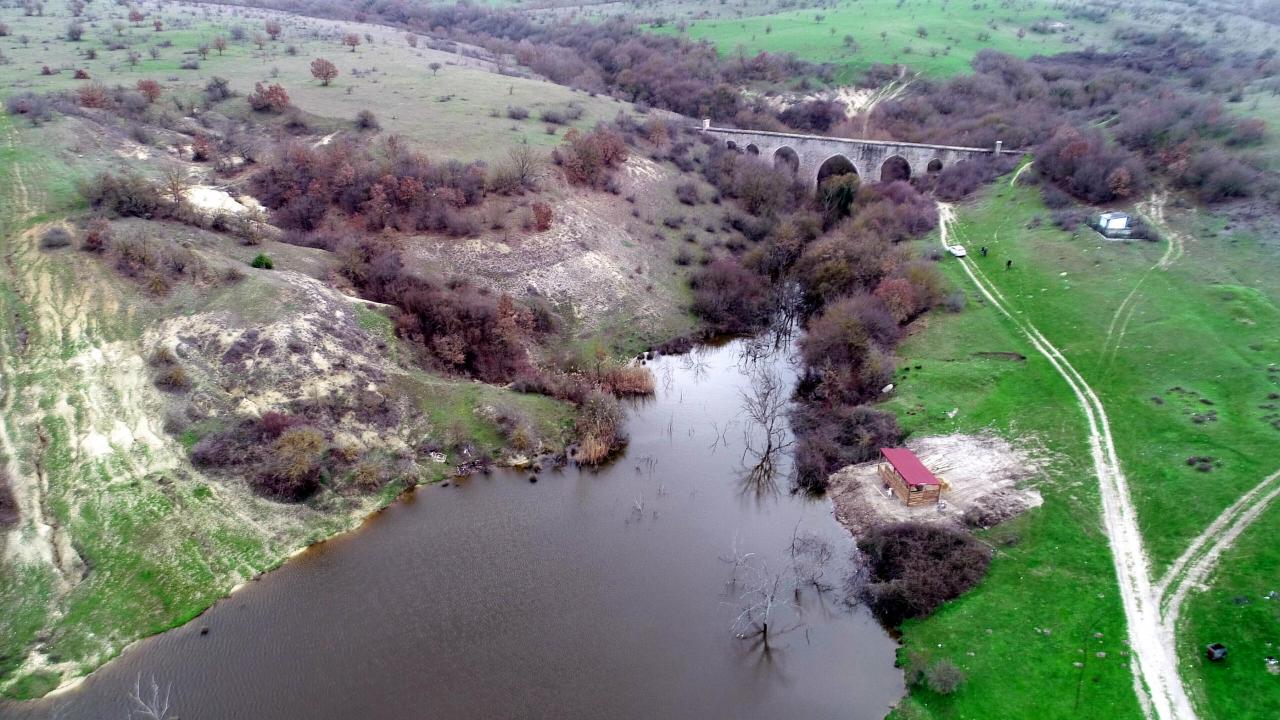 "Definecilerin tahribatı yoğun olarak kendisini göstermektedir"