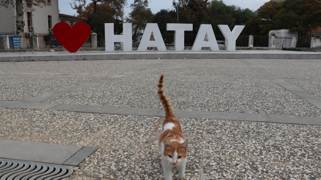 HATAY (45,50)