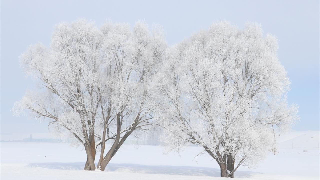 Kayak merkezlerinde son durum