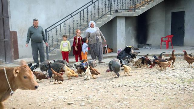 15 yıl sonra köye dönüş: Meğer megakentte hapis hayatı sürmüşüz