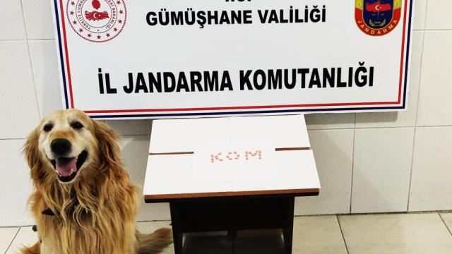 Gümüşhanede 2 ayrı operasyonda 147 kilogram tütün ile 23 extacy hap ele geçirildi
