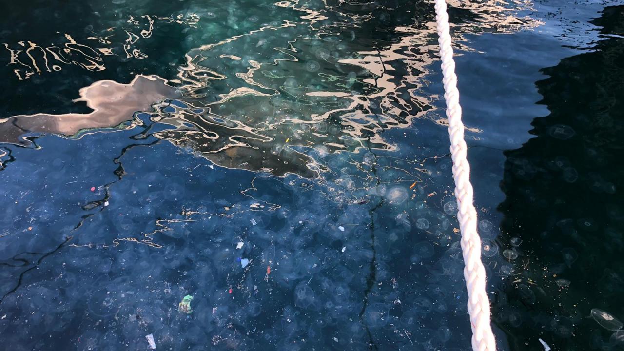 "Onlarca yılın bir sonucu"