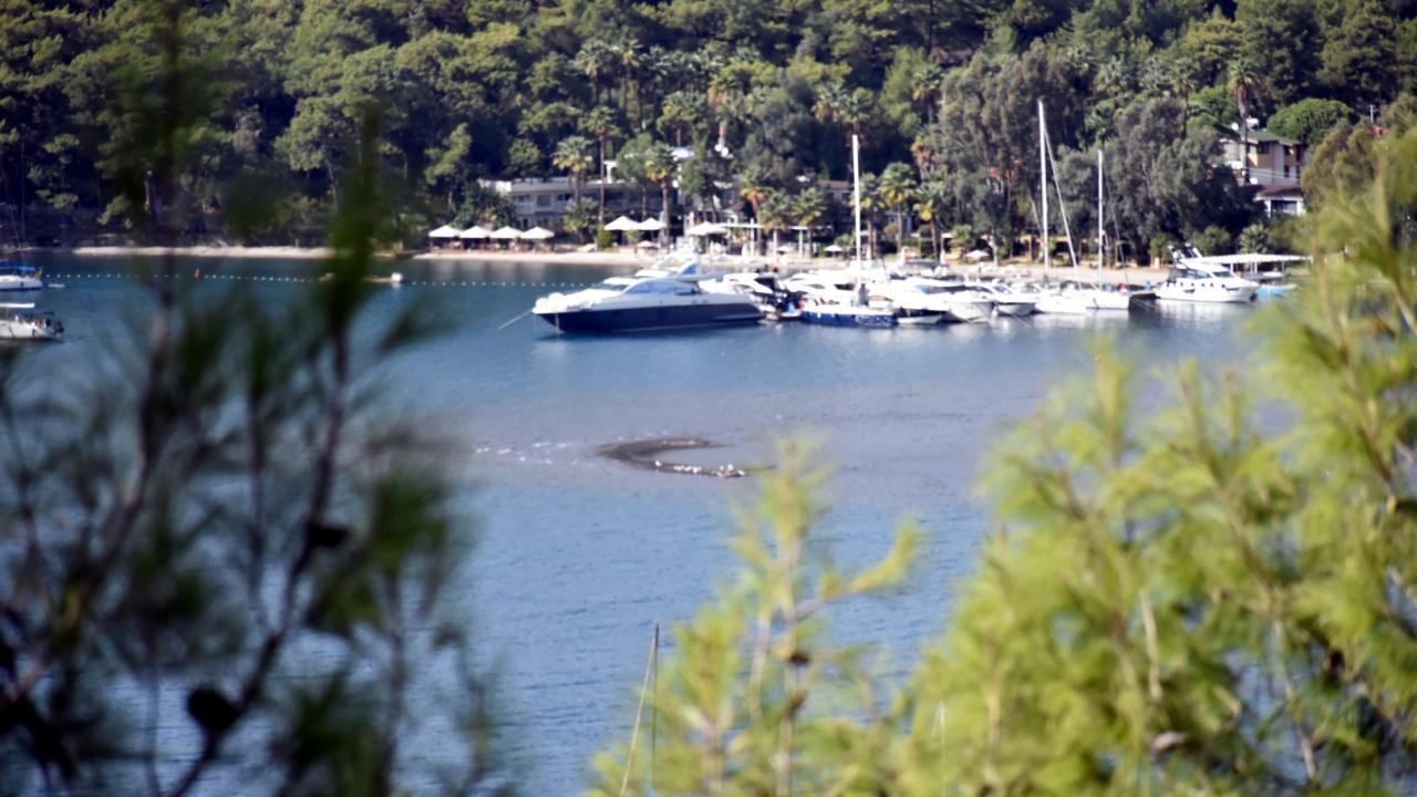 İskelelerin temelleri açığa çıktı