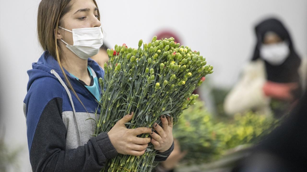 "2021`e sektör olarak güzel girdik"