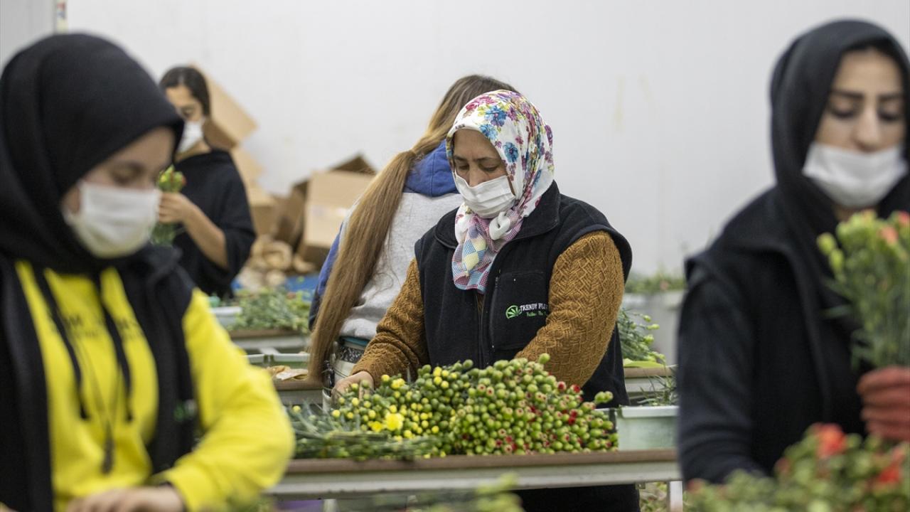 İhracatta yüzde 19`luk artış gerçekleştirdik