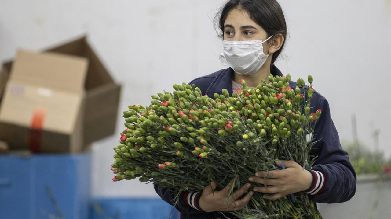 "Özellikle Avrupa bize yöneldi"