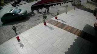 Fren yerine gaza basan sürücü 3 yayayı ezdi