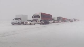 Kazakistan'da bir adamın soğuktan kulakları dondu