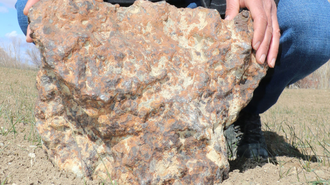 Amerika`daki alıcıya 180 bin dolara sattı