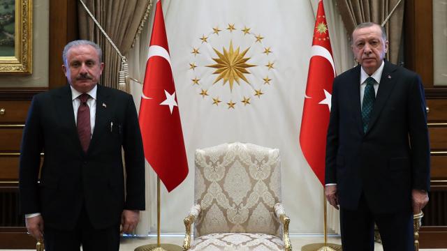Cumhurbaşkanı Erdoğan, Şentopu kabul etti
