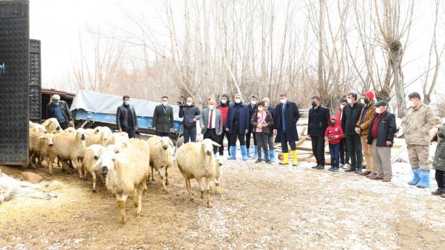 Köyümde Yaşamak için Bir Sürü Nedenim Var Projesinden Sivasta çiftçilere 22 bin hayvan desteği