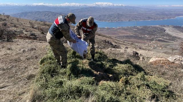 Elazığda jandarma yaban hayatı için doğaya yem bıraktı