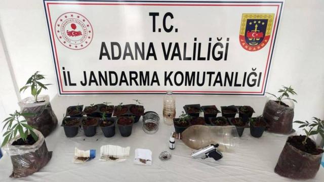 Evlerinde Hint keneviri yetiştiren 3 şüpheliye gözaltı