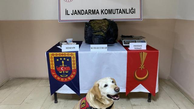 Batmanda 11 kilogram esrarın ele geçirildiği operasyonda bir şüpheli yakalandı