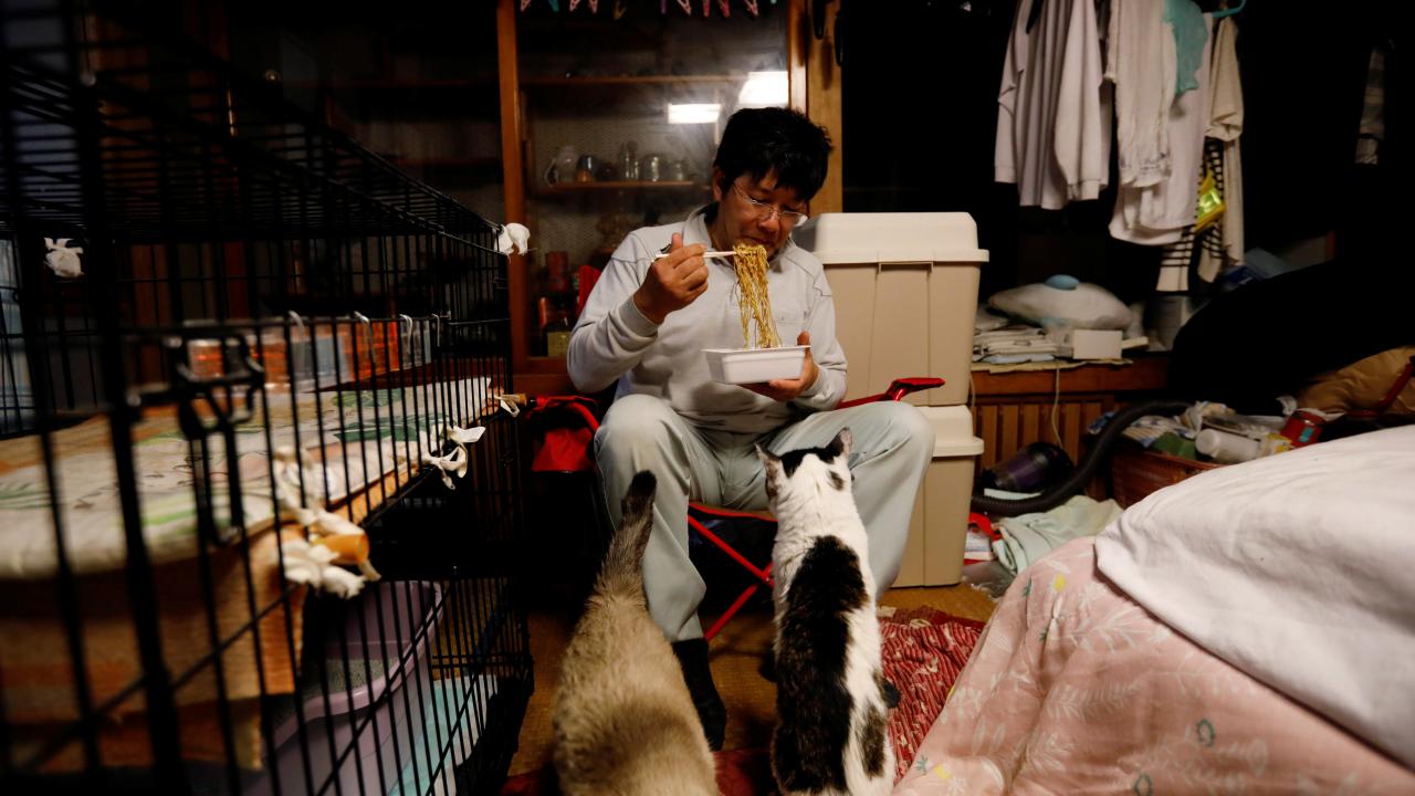 Önceden bir inşaat firmasının sahibi olan Kato, hayatını, 160 bin kişinin tahliye edildiği bu bölgedeki hayvanlara adadı.