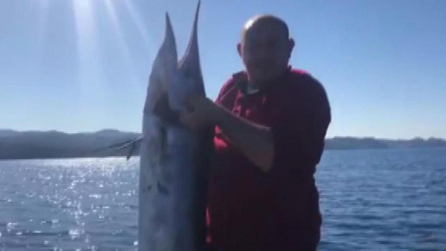 KKTCde 40 kiloluk dev kılıç balığı görenleri şaşırttı