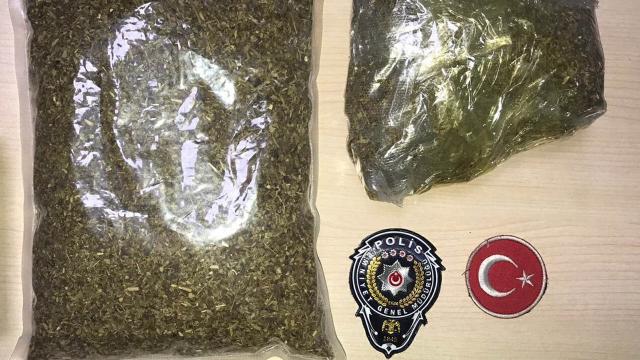 Hamile süsüyle 1 kilo bonzai taşırken yakalandı