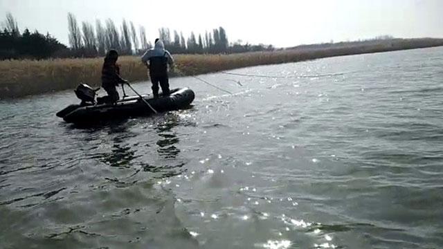 Kaçak avlanılan 2 ton canlı balık suya bırakıldı