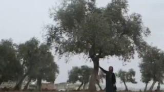 Mardin'de kadınlar gününe özel kısa film