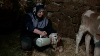 Anadolu kadınının mesaisi hiç bitmiyor