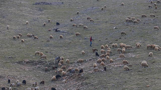 Mardinde son 20 yılın en kurak dönemi yaşanıyor