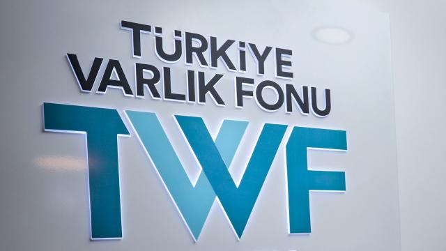 Varlık Fonu Genel Müdürlüğüne Salim Arda Ermut atandı