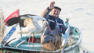 Bursalı balıkçı ile Leylek Yaren bu sene de bir arada