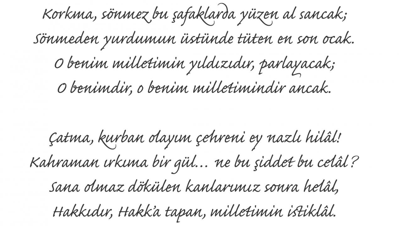 Türk askerinin kahramanlığına inanarak yazdı