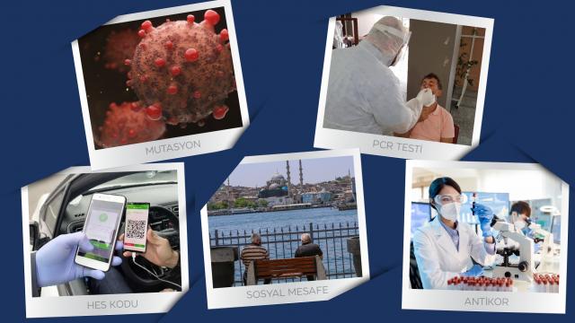 Koronavirüsle birlikte kullanmaya başladığımız terimler
