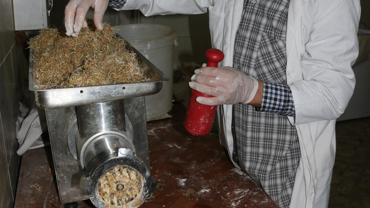 Tatlının yapımında genetiği bozulmamış, yayla köylerinde ekilen Çalıbasan buğdayı kullandıklarını anlatan Ünaler, 