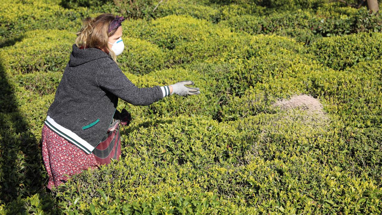 "Gübre yoksa ürün de yok"