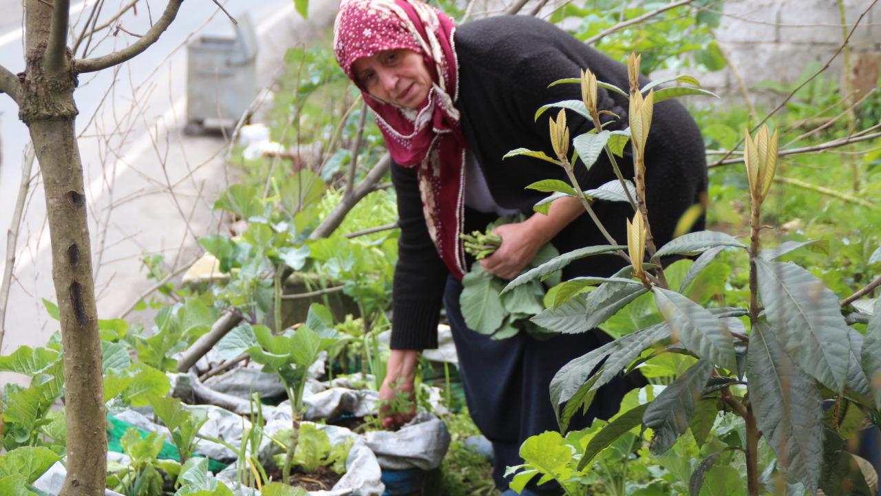 "Toprak analizi yapılmalı"
