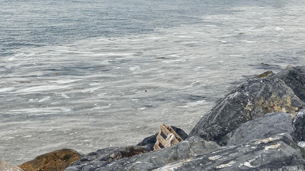 "Yoğunluğu fazla, sanki kimyasal bir atık gibi görünüyor"