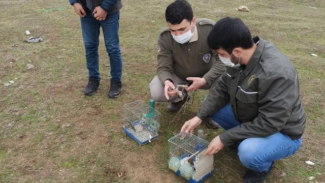 Koruma altında olan kuşları avlayan kişiye 5 bin 879 lira ceza kesildi