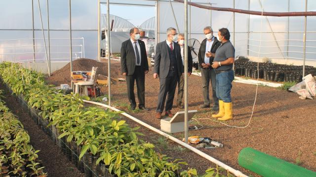 Yumurtalık Kaymakamı Vural, fidan üreticilerini ziyaret etti
