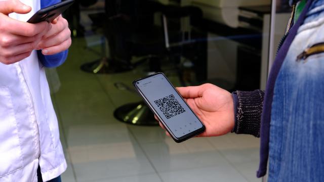 İstanbulda, birçok yere girişte HES kodu kontrolü başladı