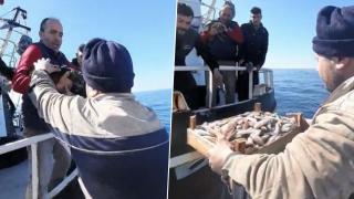 Zonguldak'ta kaybolan kedi Tekirdağ'da ortaya çıktı