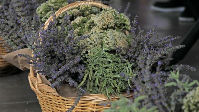 Bilinçli tarımla üretilen tıbbi ve aromatik bitkiler çiftçiye gelir sağlayacak