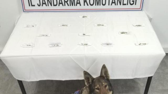 Kırklarelinde uyuşturucu operasyonunda 2 şüpheli yakalandı