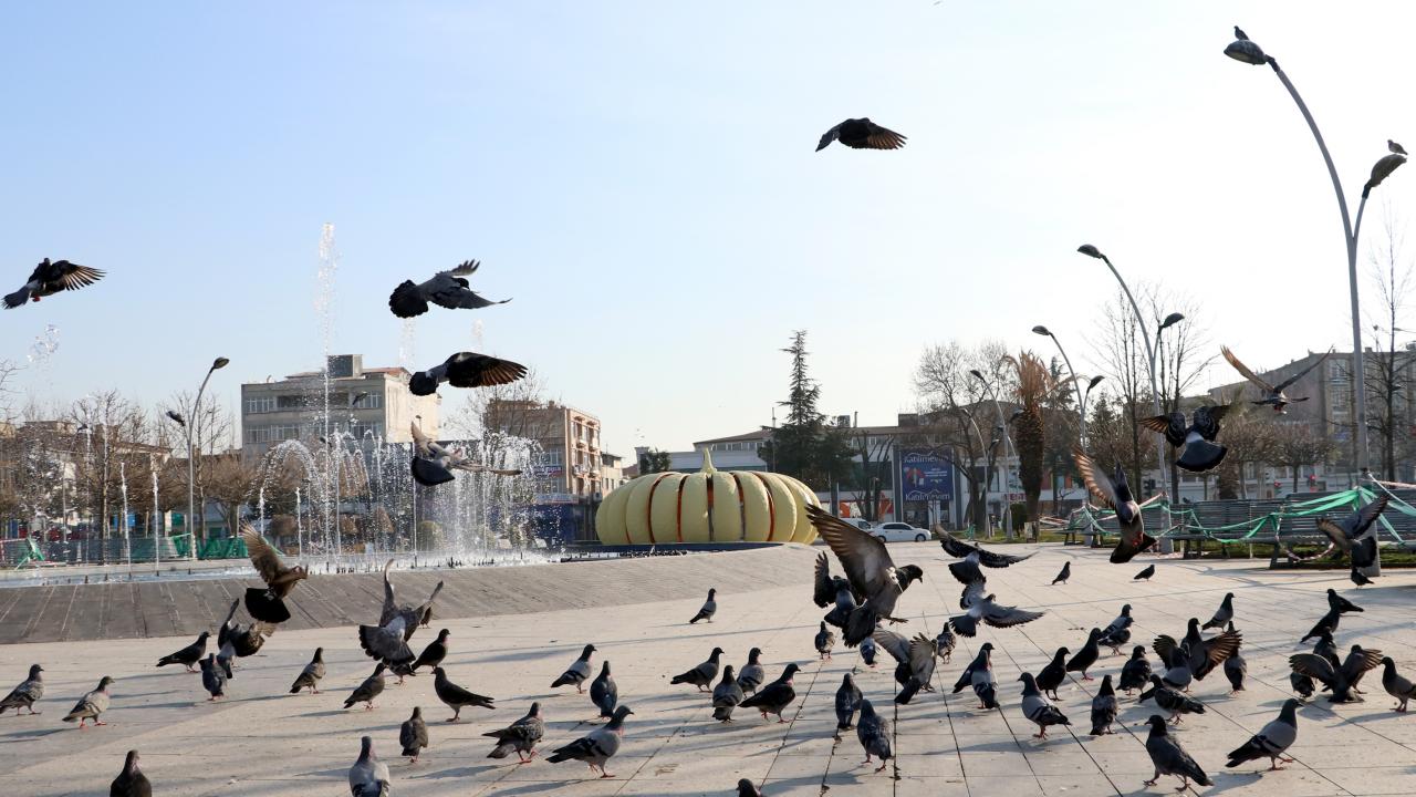 VAKA SAYISI EN FAZLA AZALAN İLLER