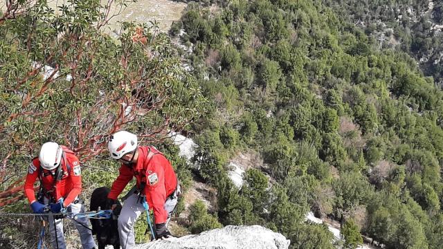 Mahsur kalan keçi, 5 saat süren operasyonla bulunduğu yerden çıkartıldı