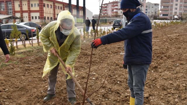 KMÜde doğaseverlerin bağışlarıyla meyve bahçesi oluşturuldu