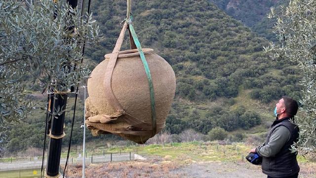 Kaçak kazıda bulunan Pithosun tarihi Afrodisias Müzesinde aydınlanacak