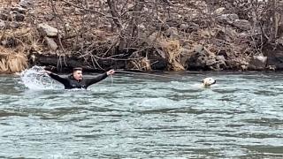 Köpeği kurtarmak için eksi 2 derecede buz gibi suya girdi