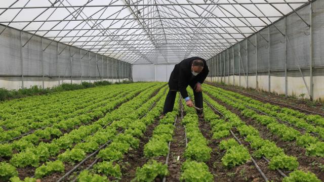 Samsunda eski hükümlüler devlet desteğiyle seracılığa başladı