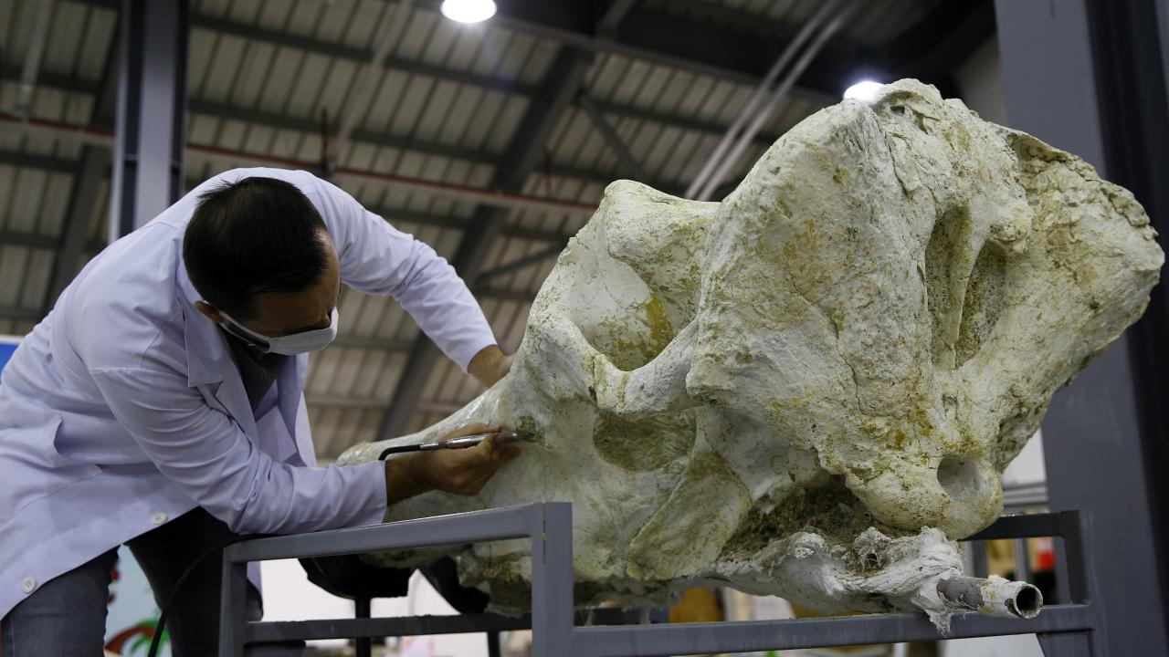 "ELE GEÇEN TEK ÖRNEK"