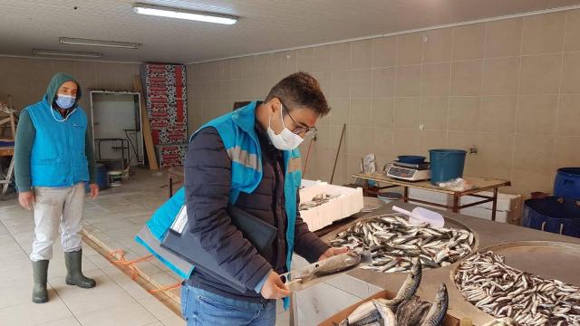 Kütahyada balık pazarı denetlendi