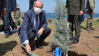 KKTC Cumhurbaşkanı Tatar, Erenköy'de fidan dikme etkinliğine katıldı